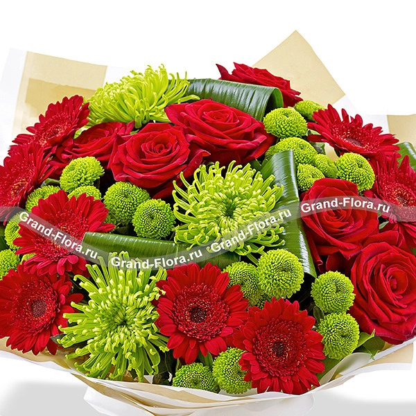 Великая красота